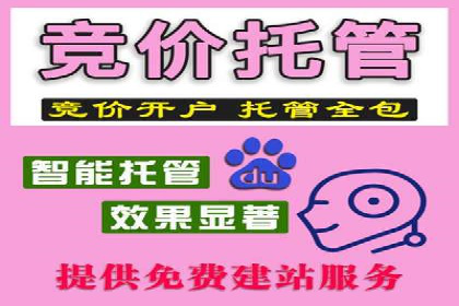 SEM推广代运营公司：行业领先的成功秘诀